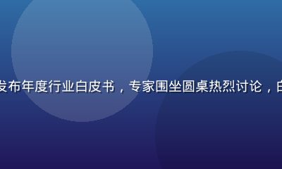 久久久品质研究院发布年度行业白皮书，专家围坐圆桌热烈讨论，白皮书封面清晰可见